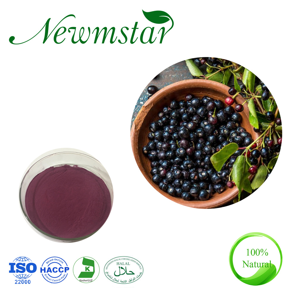ISO22000 Kosher Certified Plant Extract Berry Extract 10~50% Polyphenols 4: 1 10: 1 Maqui Berry Extract
