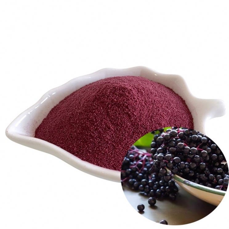 ISO22000 Kosher Certified Plant Extract Berry Extract 10~50% Polyphenols 4: 1 10: 1 Maqui Berry Extract