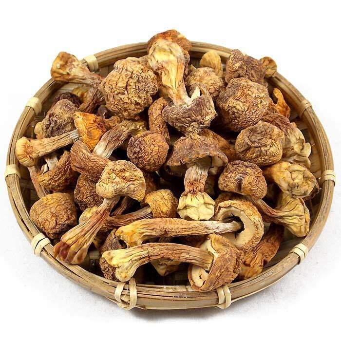Agaricus blazei Murrill Extract