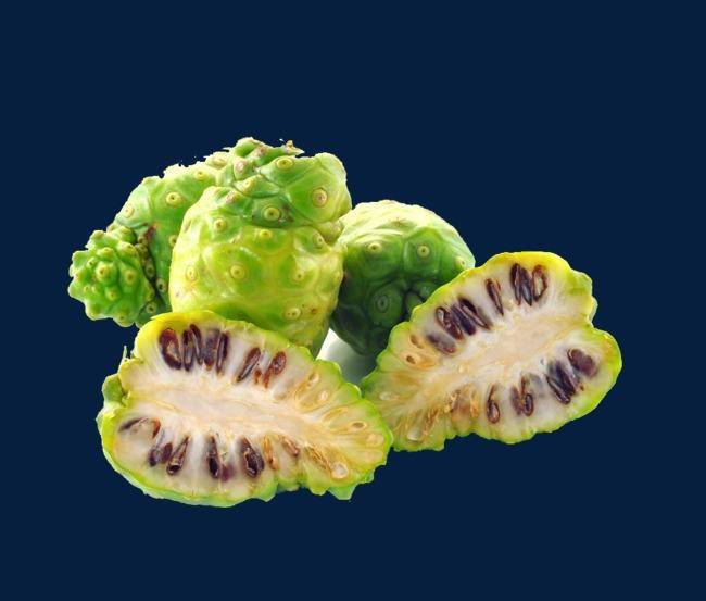 Herbadiet Noni Fruit Extract Powder (Morinda Citrifolia) 10x STRONG – Weight Loss, Energy & Immune Support