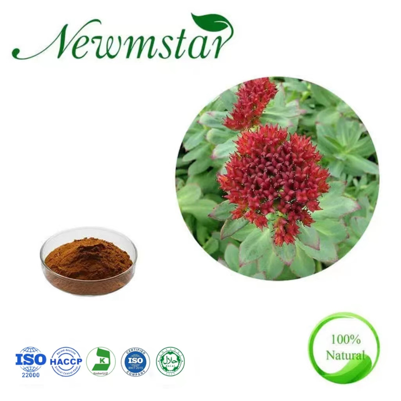 Rhodiola Rosea Extract 