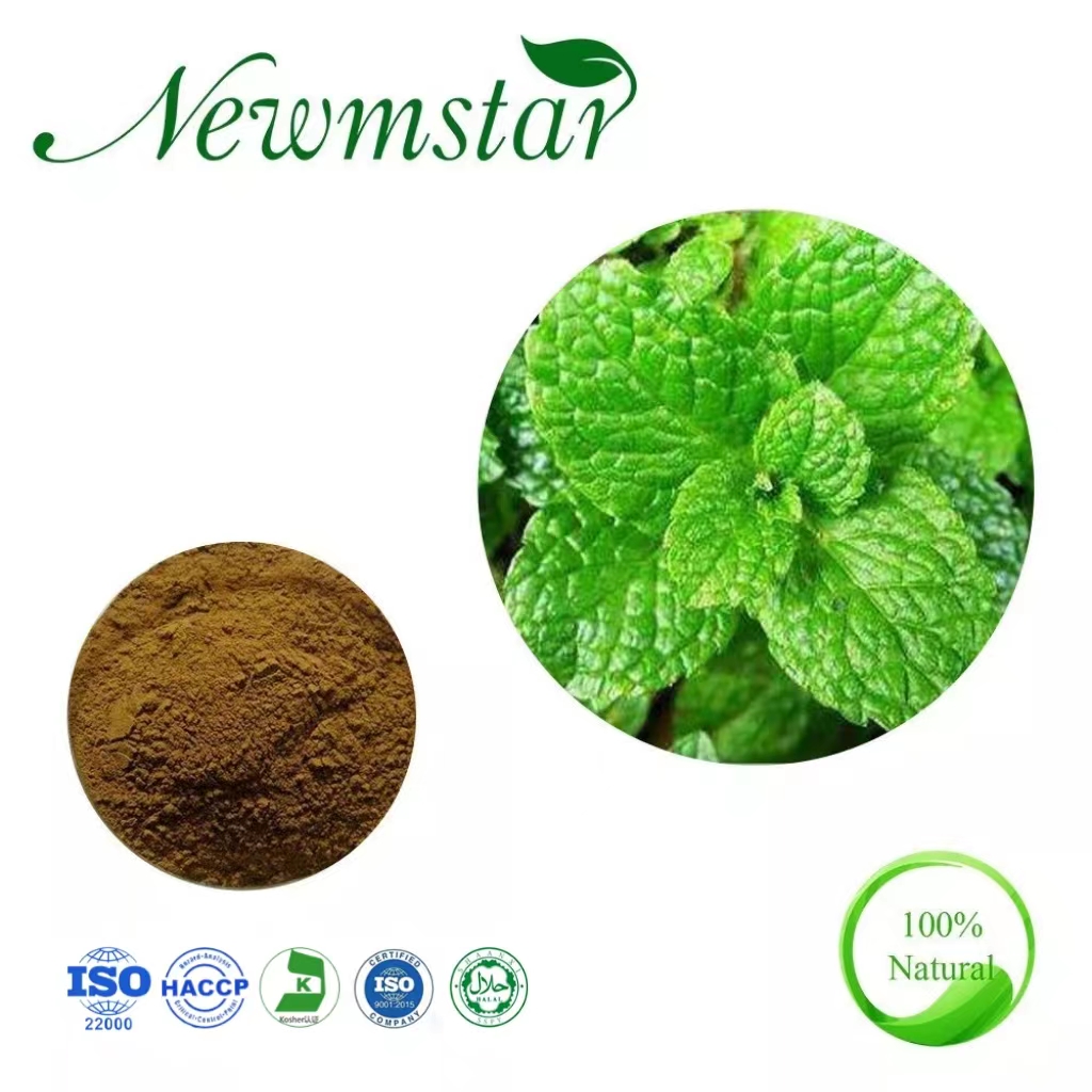peper mint extract
