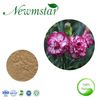 Carnation Extract