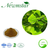 Ginkgo Biloba Dry Leaves Ginkgo Biloba Powder Pure Flavonoid Glycosides Ginkgo Biloba Flavonoid Powder Extract