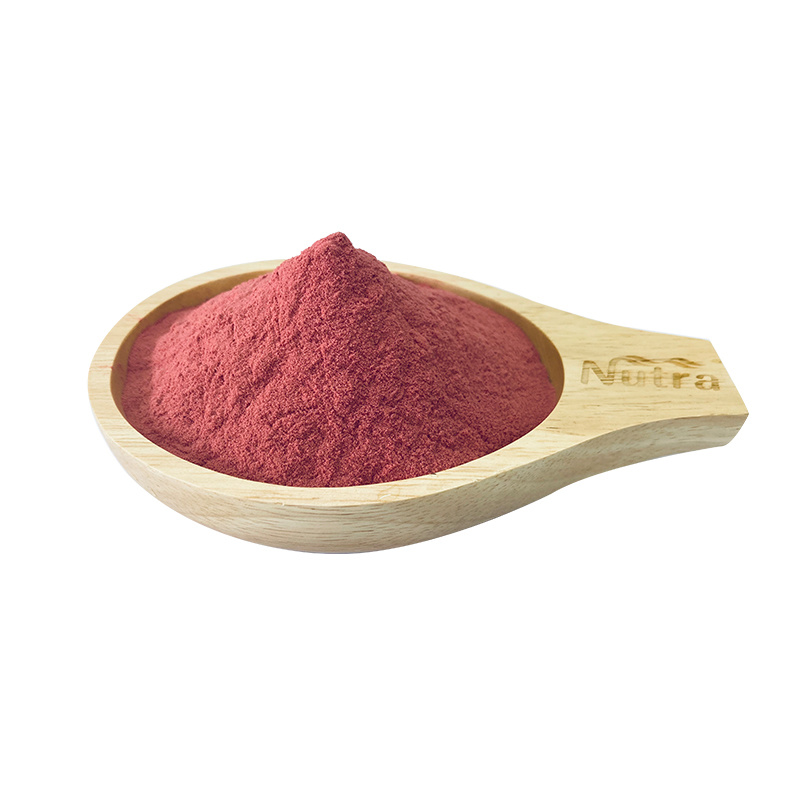 ISO22000 Kosher Certified Plant Extract Berry Extract 10~50% Polyphenols 4: 1 10: 1 Maqui Berry Extract