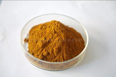 Astragalus Extract 