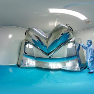 Skin Whitening Raw Material Grape Skins Extract with ISO ISO22000, HACCP, Rich in OPC 50%, Resveratrol 98%