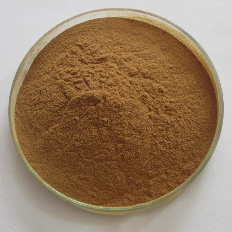 ISO22000 Halal Certificated Plant Extract Semen Platycladi Extract Platycladus Orientalis Extract Powder Cacumen Platycladi Extract