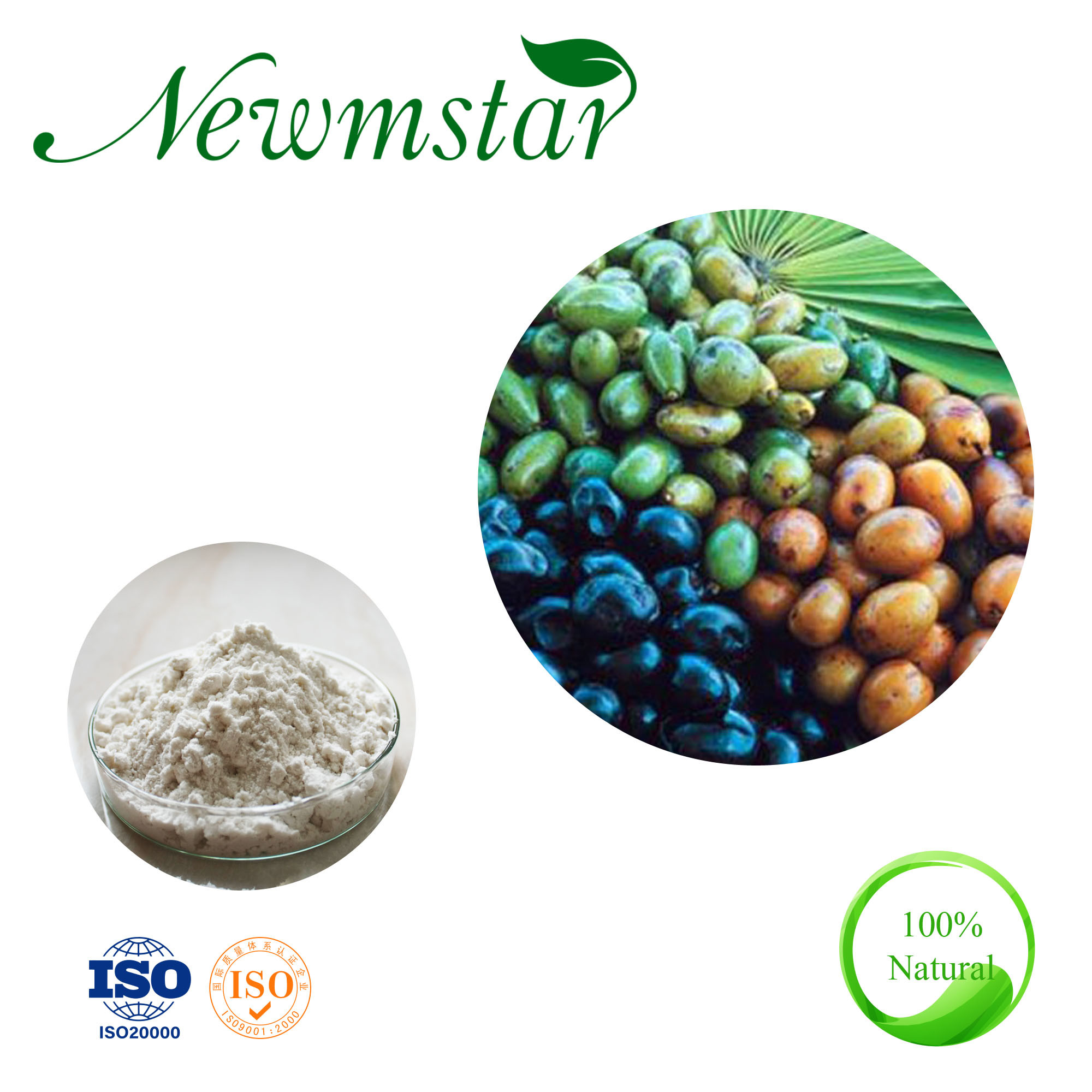 Natural Saw Palmetto Extract Fatty Acid 25% Powder