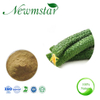 Best Selling Products Natural Cucumber Fruit Extract Powdered Cucumber Powder