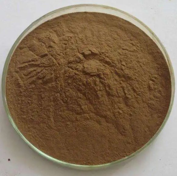 Bulk Supply Maral Root Extract/Maral Root Extract Powder (Rhaponticum carthamoides)