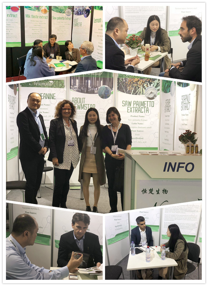 100% Pure Natural St John Wort Extract