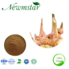  Galangal Extract 