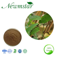  Thunbergia Laurifolia Extract 