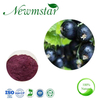 Black Currant Extract