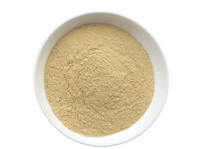 Ginger Extract 