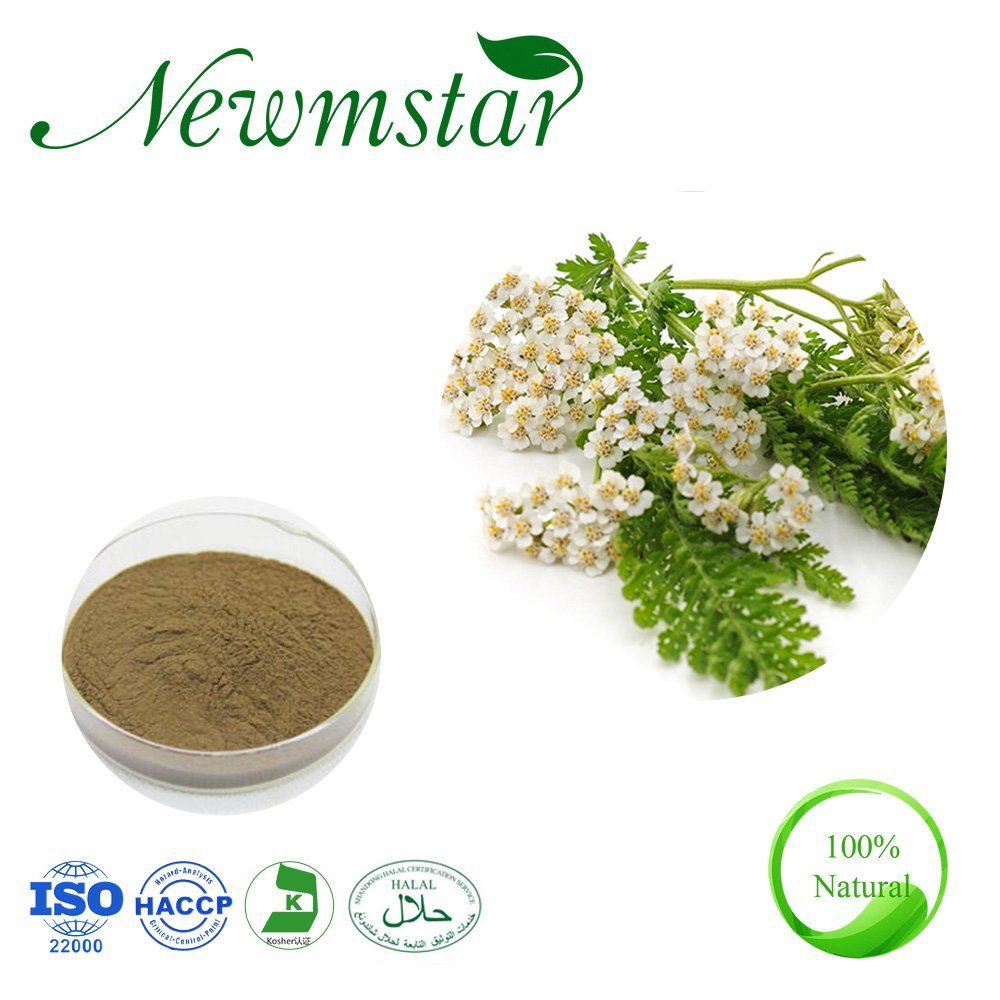 100% Natural Achillea Millefolium Yarrow Extract with Organic Powder for Health Care