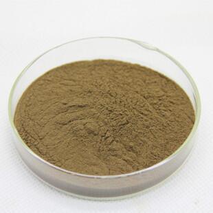 ISO22000 Halal Certificated Plant Extract Semen Platycladi Extract Platycladus Orientalis Extract Powder Cacumen Platycladi Extract