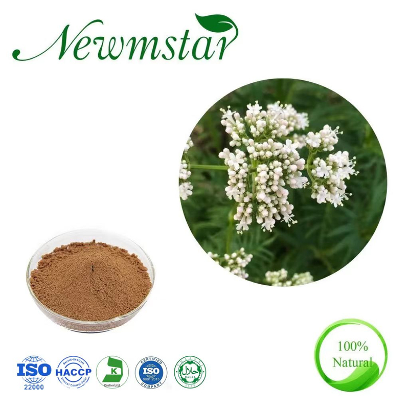 Valerian Root Extract