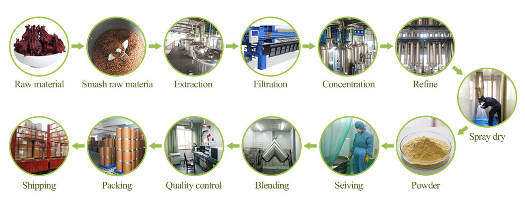 ISO22000 Kosher Certified Plant Extract Berry Extract 10~50% Polyphenols 4: 1 10: 1 Maqui Berry Extract