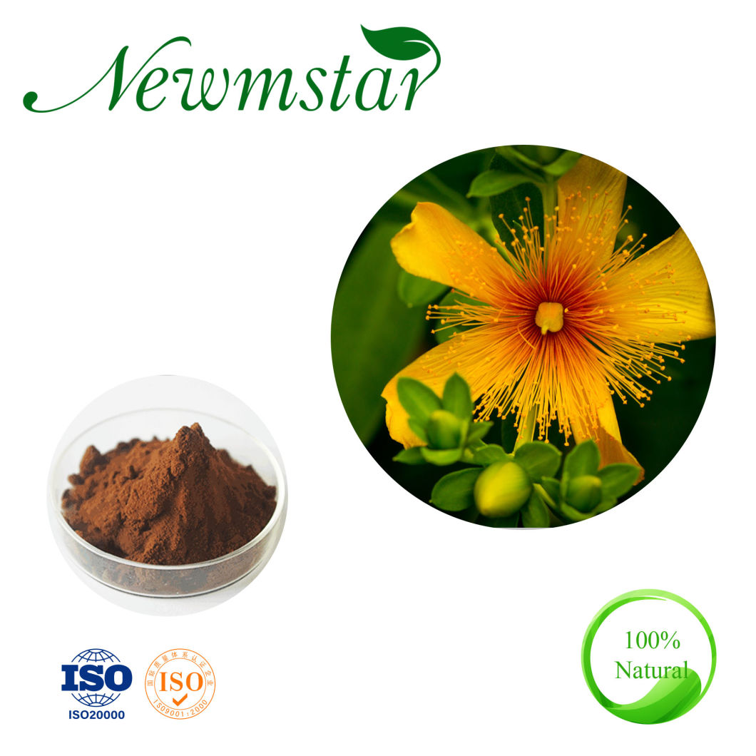 100% Pure Natural St John Wort Extract