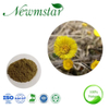 Coltsfoot Leaf Extract 