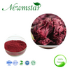 Hibiscus Flower Extract