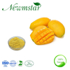 Organic Mango Powder Food Grade Instant Fruit Juice Powder