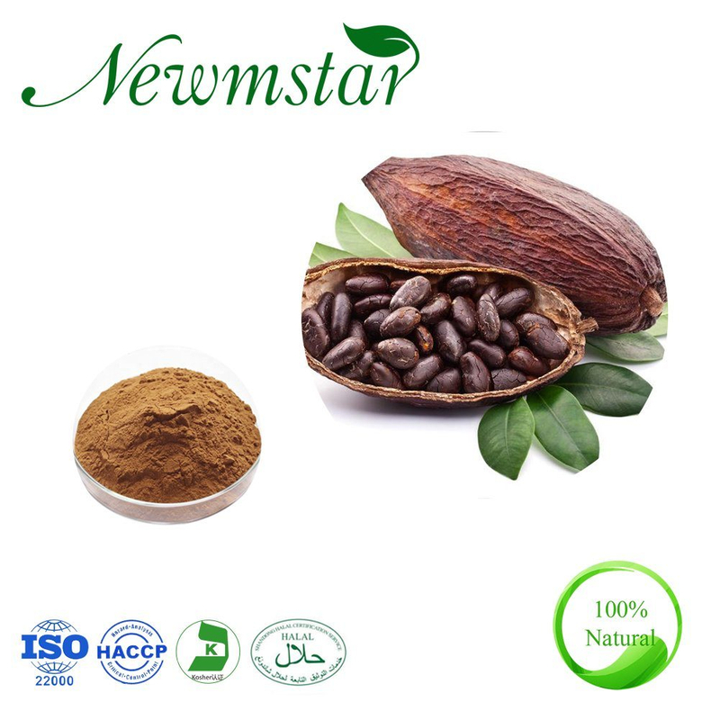 Theobroma Cacao Natural Cocoa Extract Cocoa Seed Powder Extract 10: 1