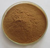 Bulk Supply Maral Root Extract/Maral Root Extract Powder (Rhaponticum carthamoides)