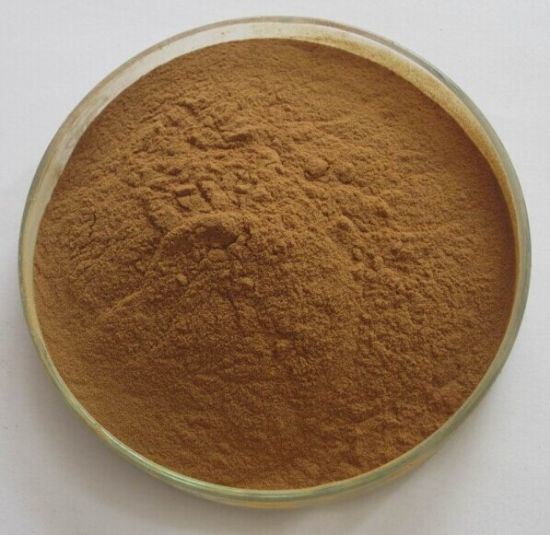 Bulk Supply Maral Root Extract/Maral Root Extract Powder (Rhaponticum carthamoides)