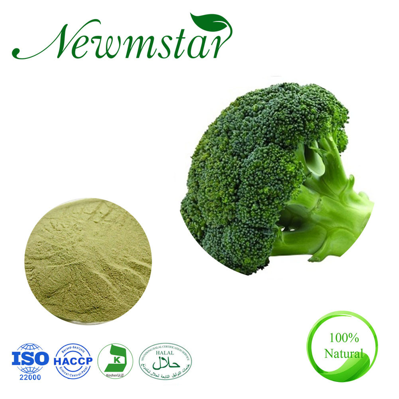 ISO22000 HACCP Halal Certified Manufacturer Supply Natural Sulforaphane