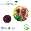 Skin Whitening Raw Material Grape Skins Extract with ISO ISO22000, HACCP, Rich in OPC 50%, Resveratrol 98%