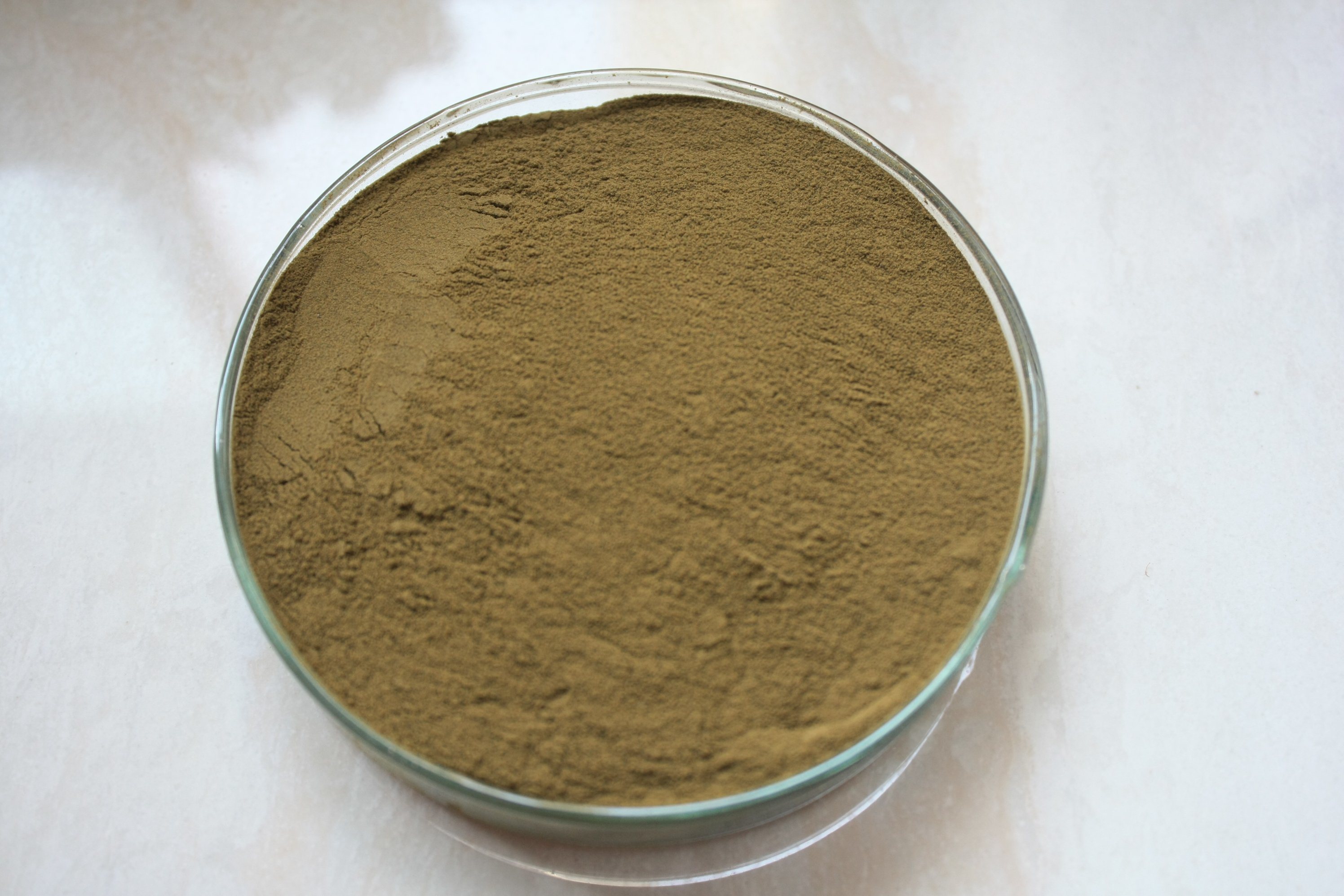  Mulberry Leaf Extract 