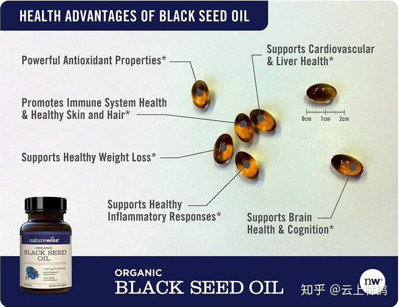 ISO Certified Black Cumin Seed Extract Powder for 10 1 Nigella Sativa Extract