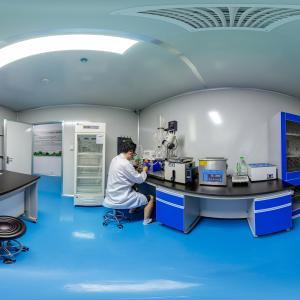 Skin Whitening Raw Material Grape Skins Extract with ISO ISO22000, HACCP, Rich in OPC 50%, Resveratrol 98%