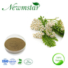 ISO22000 Halal Certificated Plant Extract Semen Platycladi Extract Platycladus Orientalis Extract Powder Cacumen Platycladi Extract