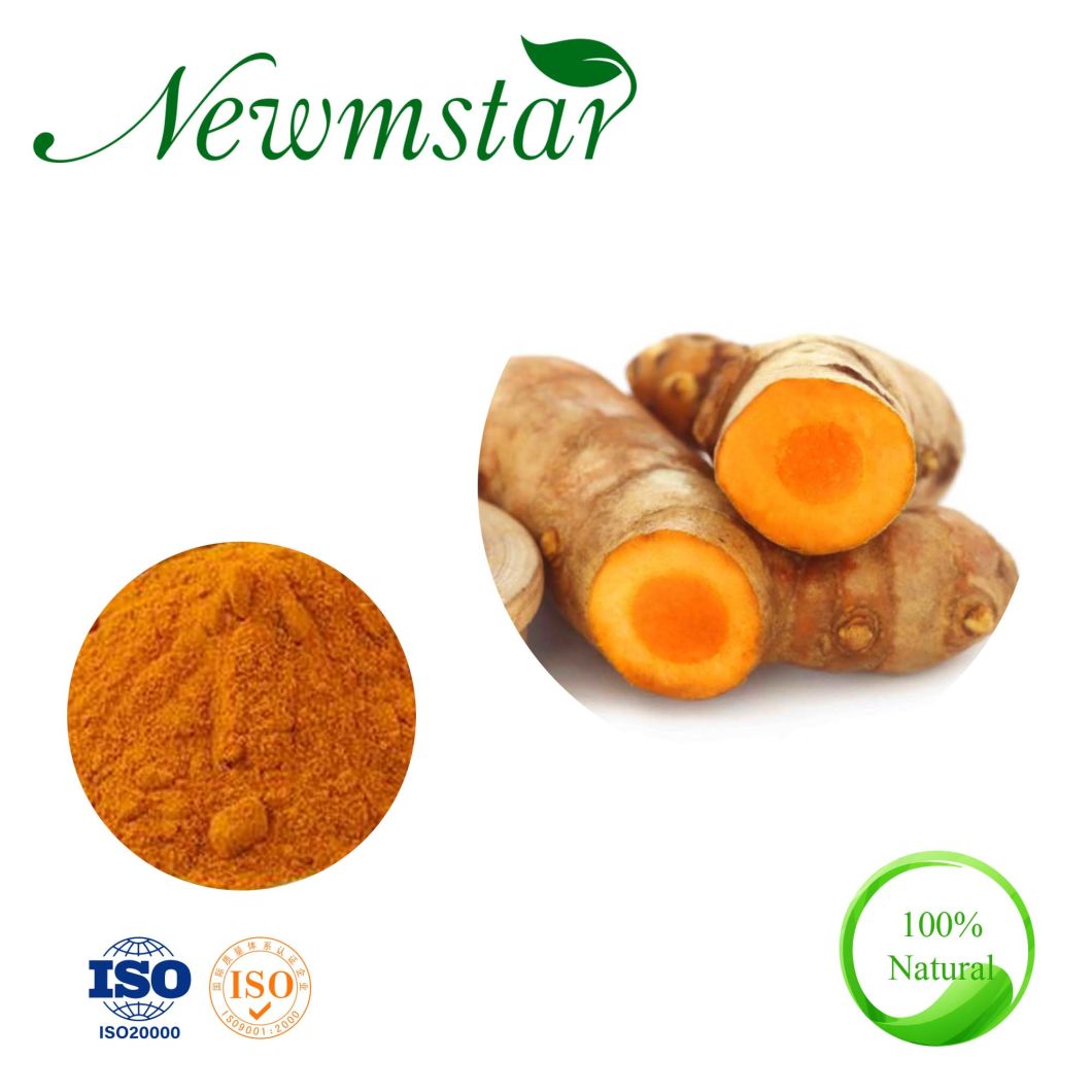 OEM High Quality Pure Tumeric Root Extract Powder with 95% Curcumin