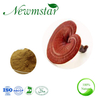 Reishi Mushroom Extract (Ganoderma lucidum Karst) 10%~50% Polysaccharides