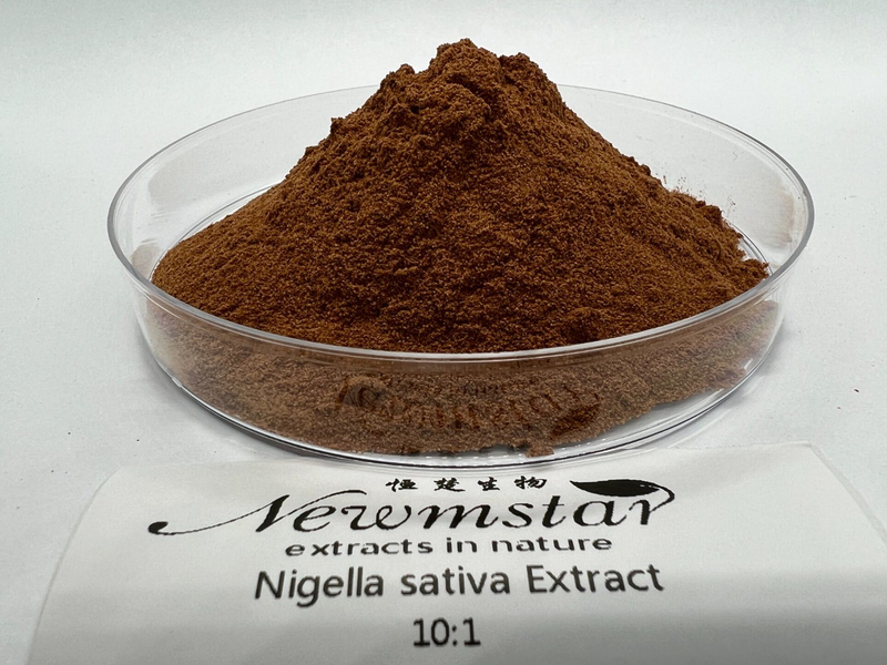 ISO Certified Black Cumin Seed Extract Powder for 10 1 Nigella Sativa Extract