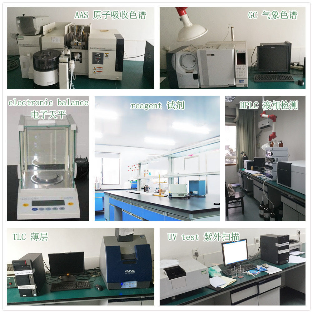 ISO22000 Kosher Certified Plant Extract Berry Extract 10~50% Polyphenols 4: 1 10: 1 Maqui Berry Extract