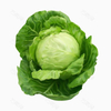 Cabbage Extract