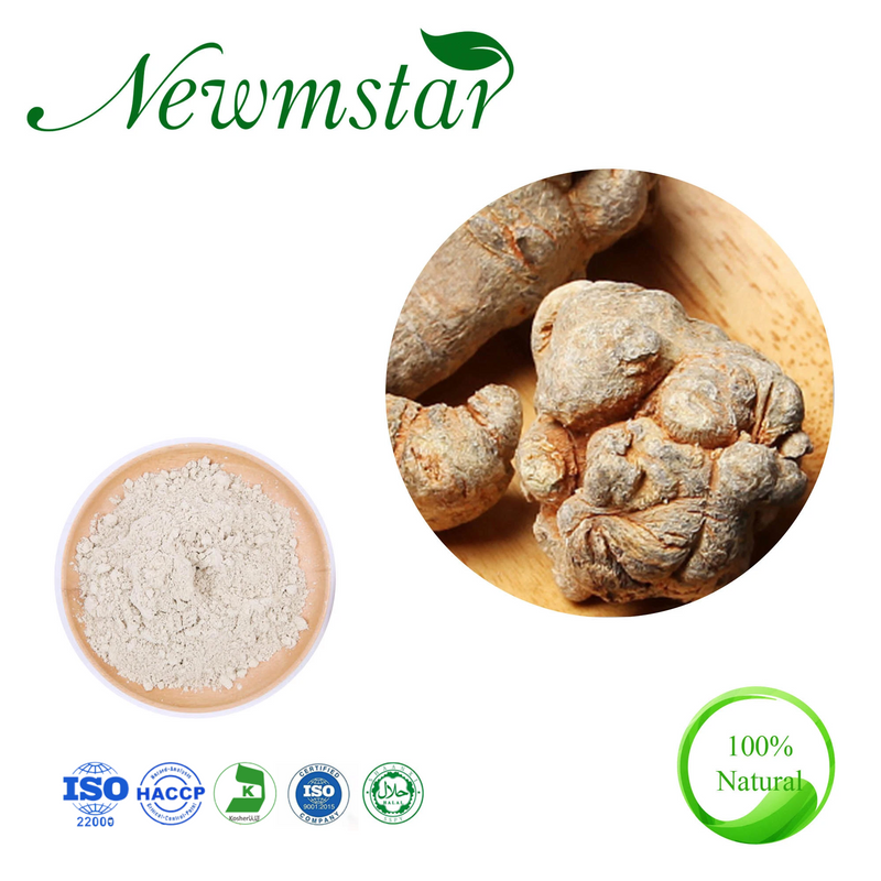  Notoginseng Extract