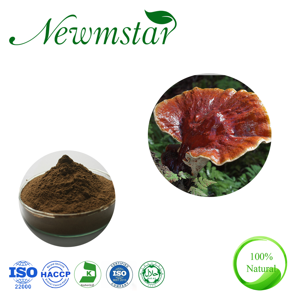 Reishi Mushroom Extract