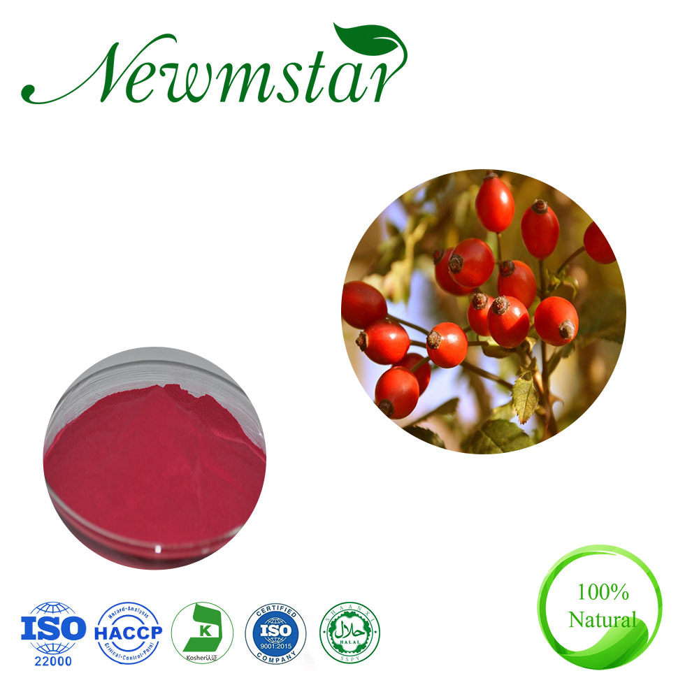 Rose hip extract